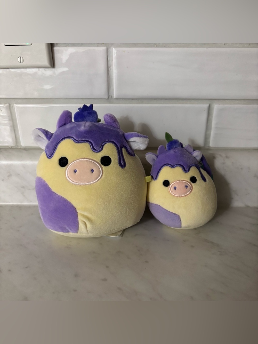 Benito the Blueberry Cow Squishmallow Bundle